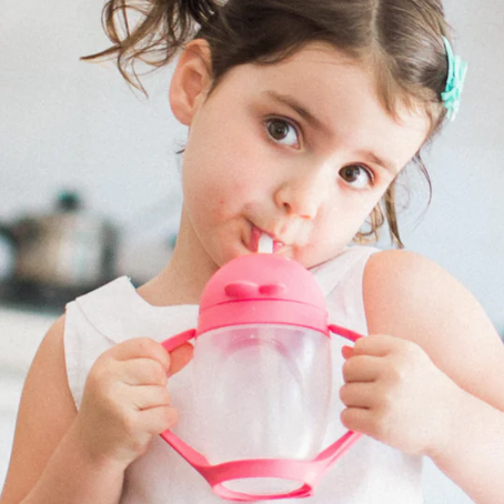 Lollacup Straw Sippy Cup