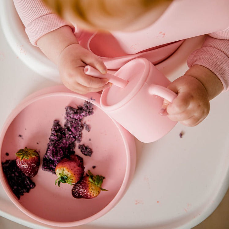 Starting Solids Suckie Scoop Plate