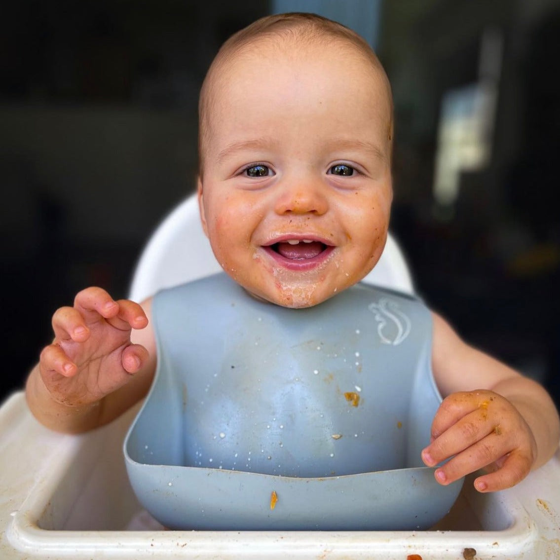 Nibble and Rest Silicone Bib